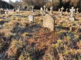 image of grave number 724346